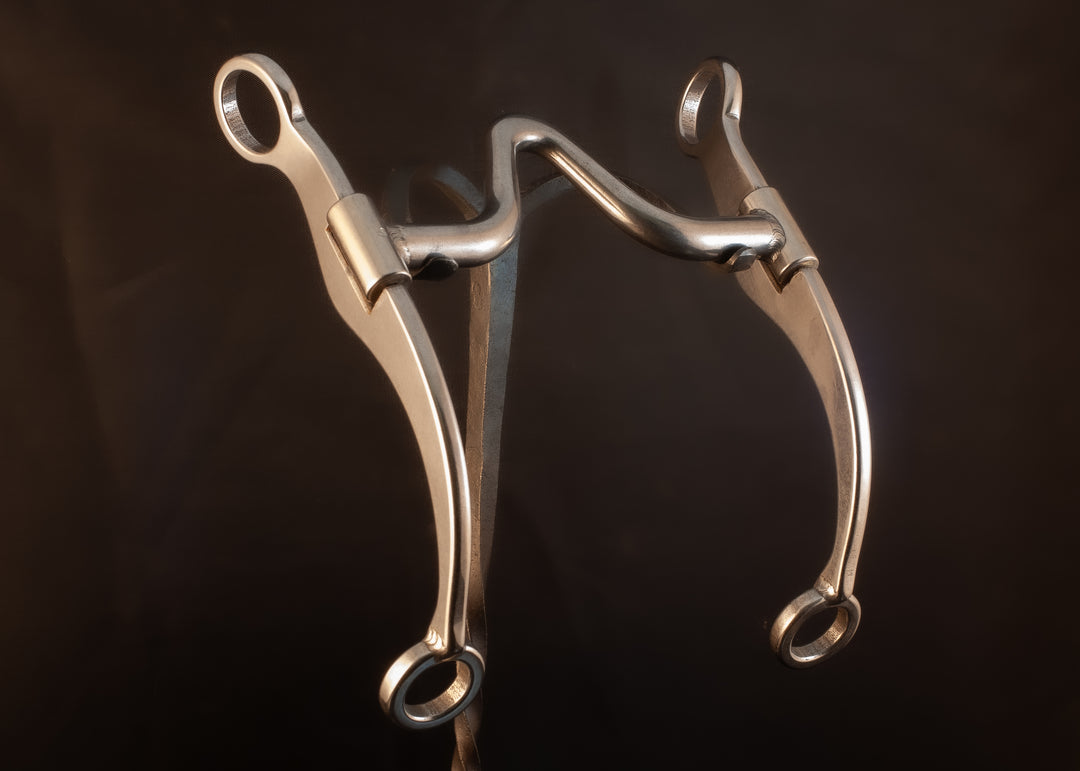 Futurity Swivel Leon