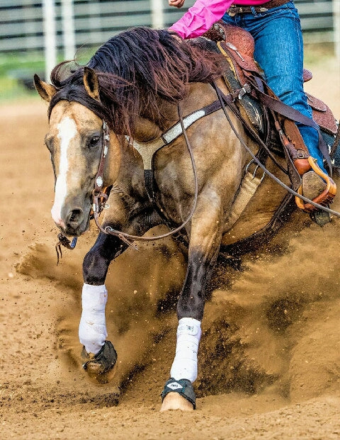 Reining Shop All